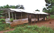 Abaana - Matthew Cardwell Nursery Section